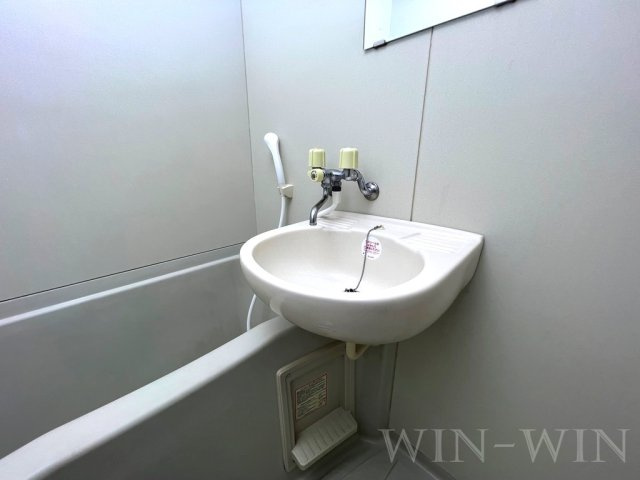 ヴィサージュ東森岡の洗面所