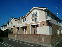 メロウ　ブルームの画像