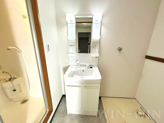 グリーンロード草間の洗面所