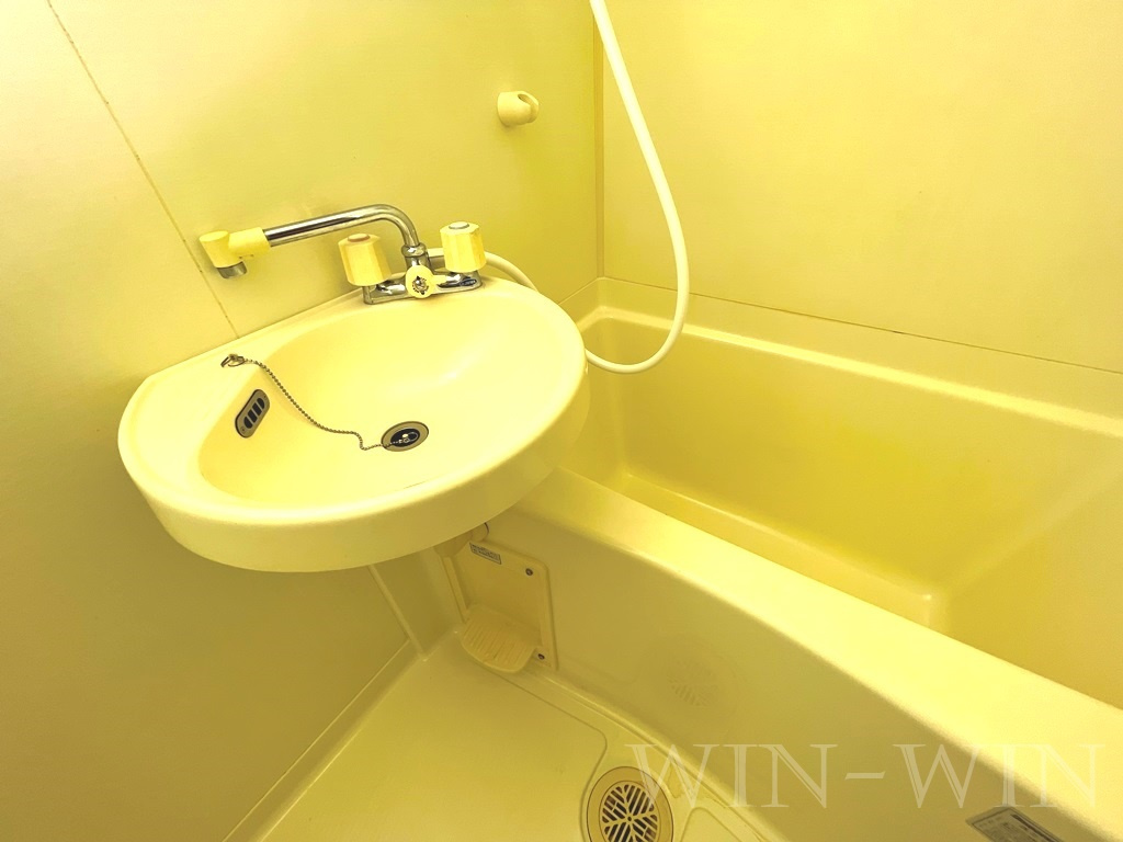 メゾンハクゴの洗面所