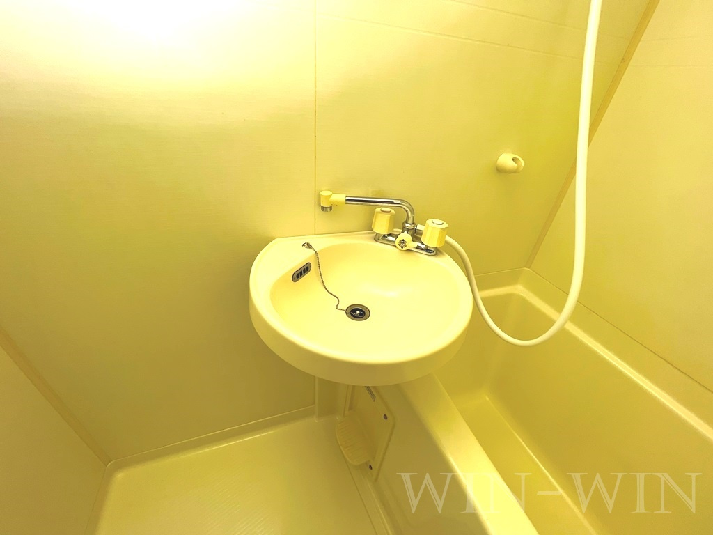 メゾンハクゴの洗面所