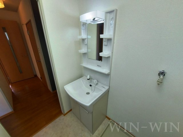 ウエストコート川崎の独立洗面台