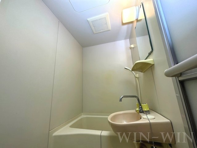 シャンテ豊橋の洗面所