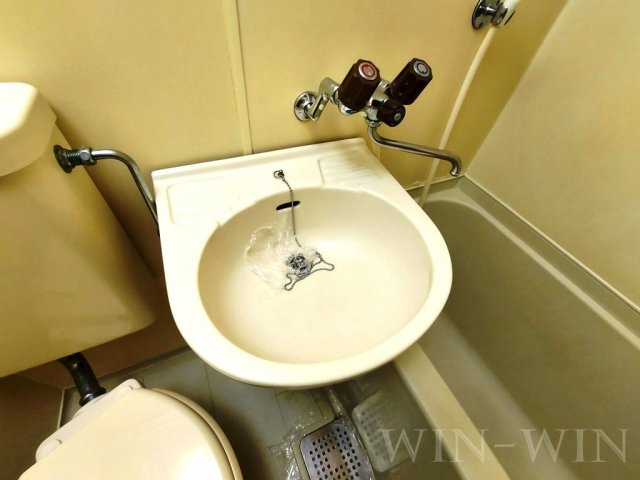 ペアパレス東田の洗面所