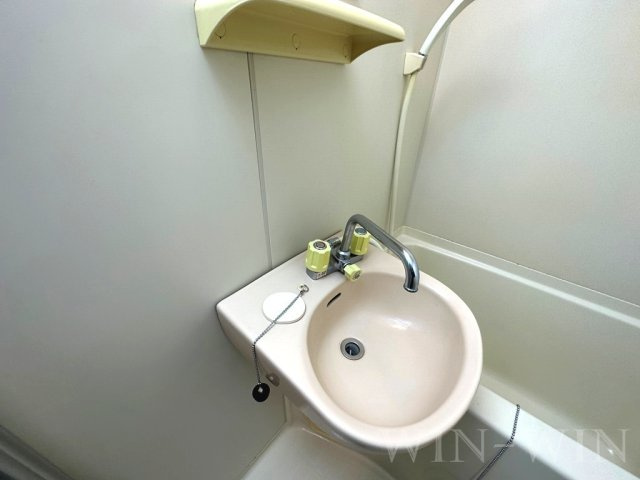 シャンテ豊橋の洗面所