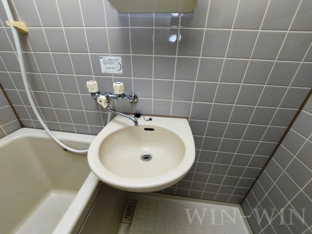 セザンヌ内張の洗面所