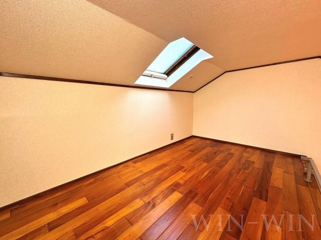 セザンヌ内張のその他