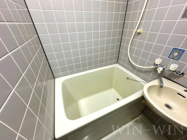 セザンヌ内張の浴室