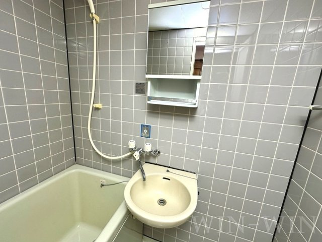 セザンヌ内張の洗面所