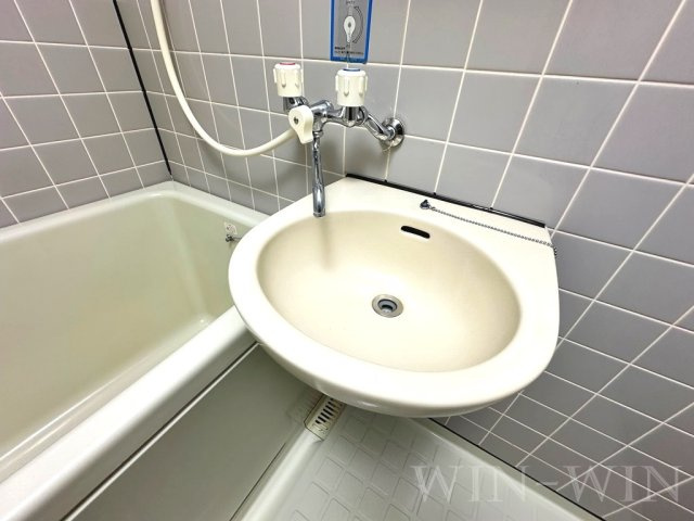 セザンヌ内張の洗面所