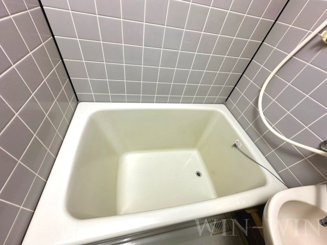 セザンヌ内張の浴室