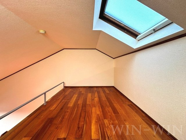 セザンヌ内張のその他