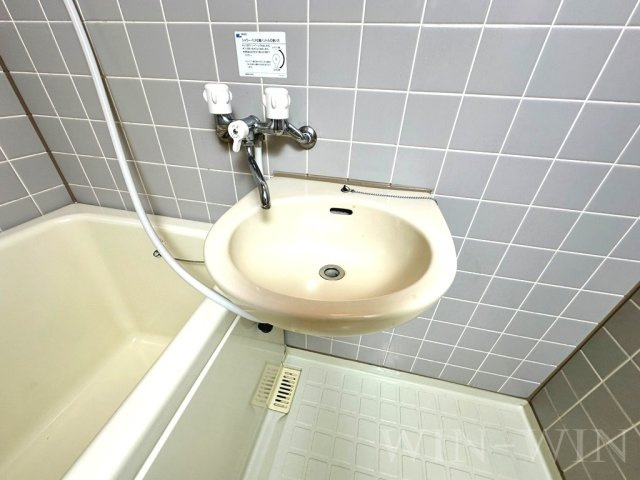 セザンヌ内張の洗面所