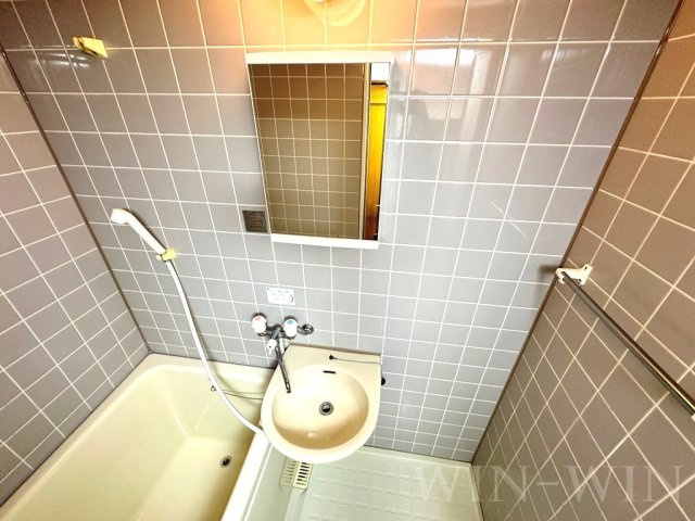 セザンヌ内張の洗面所