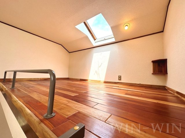 セザンヌ内張のその他