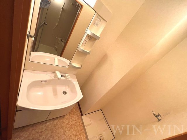 エスポワール・Ⅰの洗面所