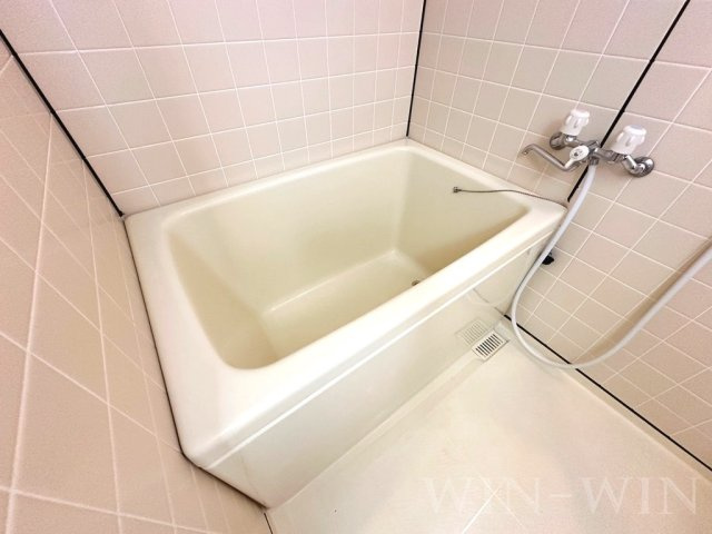 セザンヌ大岩の浴室