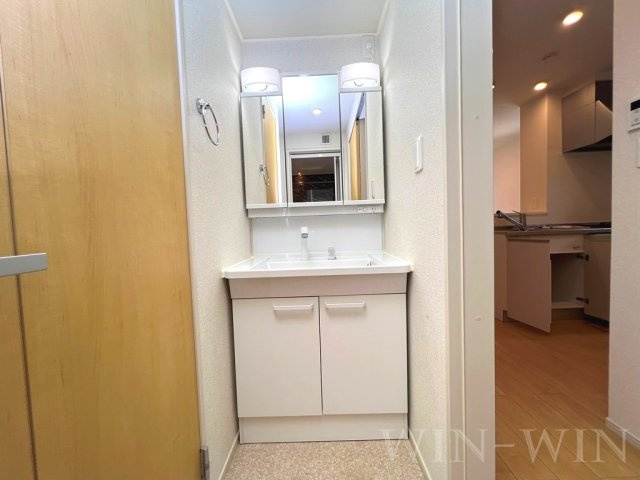 エスポワールK&L Ⅰの洗面所