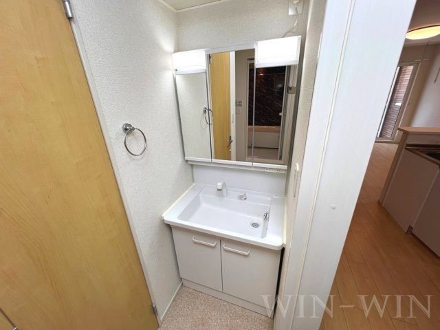 エスポワールK&L Ⅰの洗面所