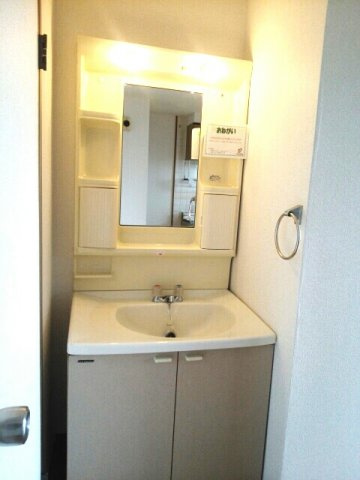 メゾンレフォ－ルの洗面所