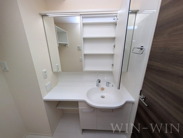 アベニュー小向の独立洗面台