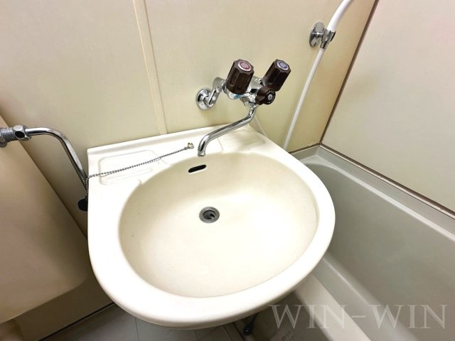ユトリロ柱九番町の洗面所