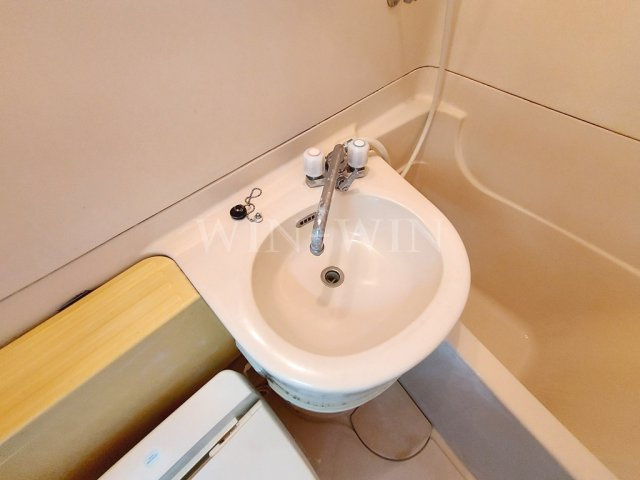 サンライフ堂坂 Aの洗面所