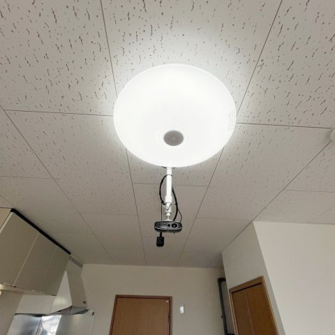 ハイツプラタナス1号館のその他