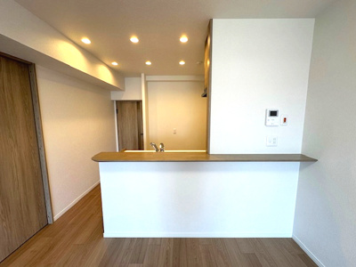 【居間・リビング】 | パストラルハイム豊中 | キッチン上部はスッキリとした見た目のダウンライトを採用！調理中の手元も明るく照らしてくれます。どんな時間帯も調理が可能です。