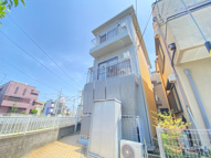 ネオグリーン鳳の画像