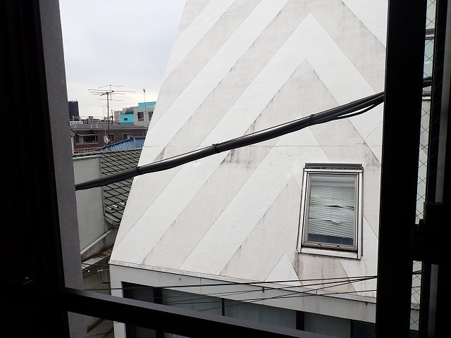 オモチデセンゴクの展望