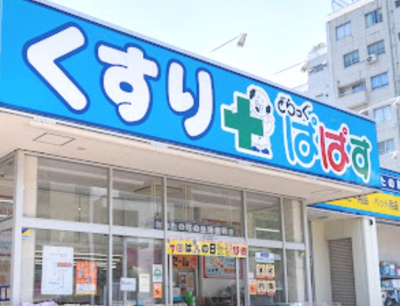 【周辺】 | プランドール | どらっぐぱぱす 新江古田駅前店まで441ｍ