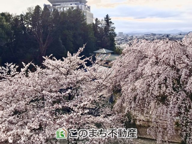 ライオンズマンション八幡山公園の展望|バルコニーからは四季折々と素敵な景色を楽しめます