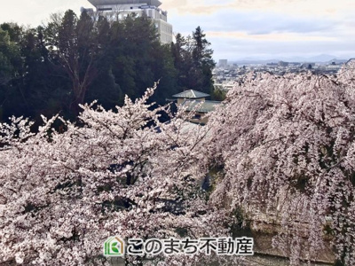 【展望】 | ライオンズマンション八幡山公園 | バルコニーからは四季折々と素敵な景色を楽しめます