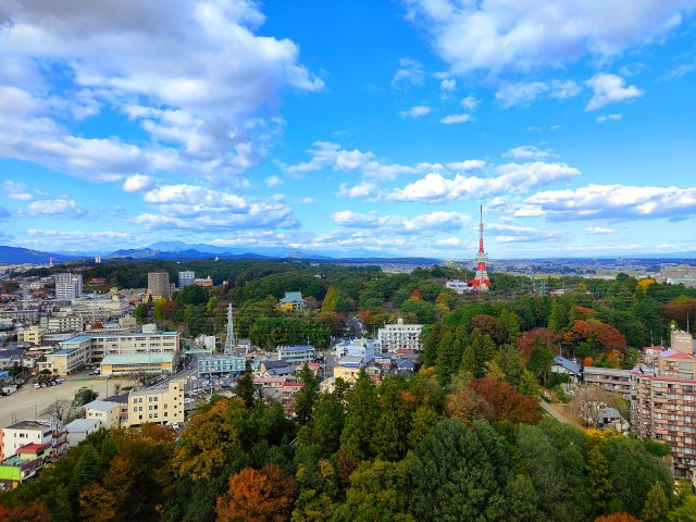 ライオンズマンション八幡山公園の周辺|緑豊かな八幡山公園を一望できます