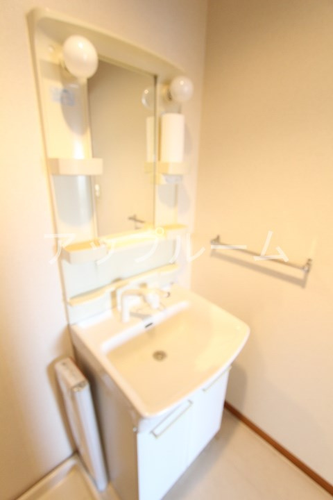 シャンテ中新の洗面所