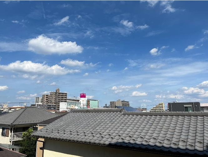 ダイアパレス河辺の展望|南東向き3階