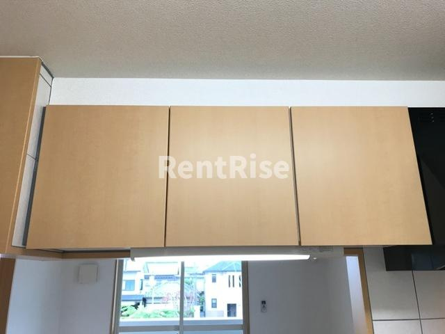 フェリーチェ・ドラゴンのキッチン|キッチン収納(イメージ)