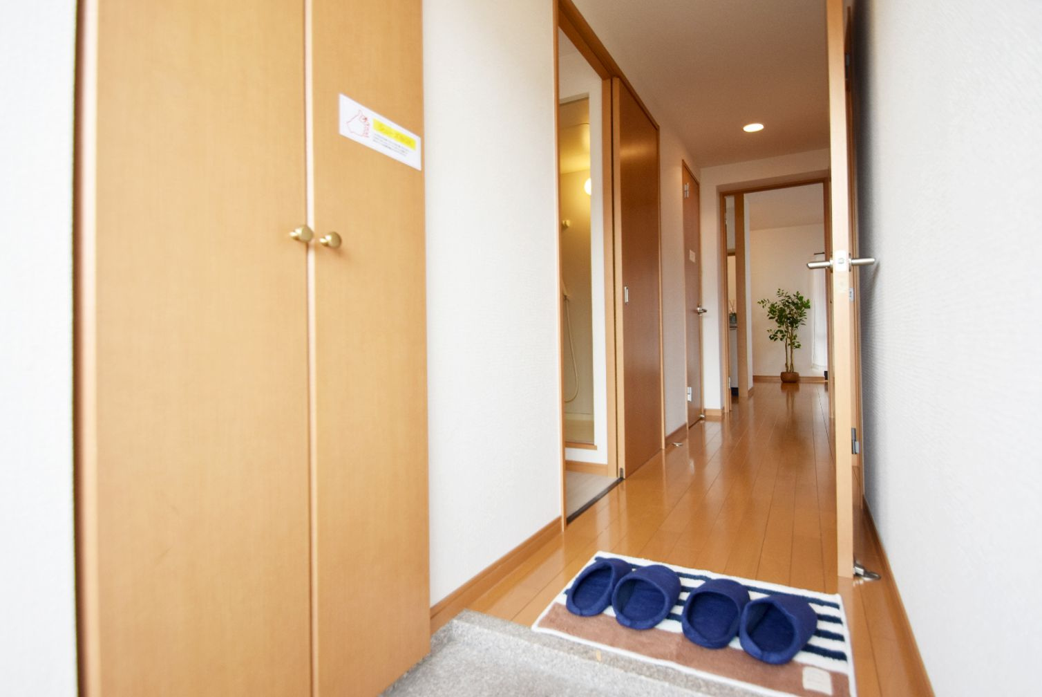 ドゥブラン上津の玄関|シューズボックス付きの玄関です☆