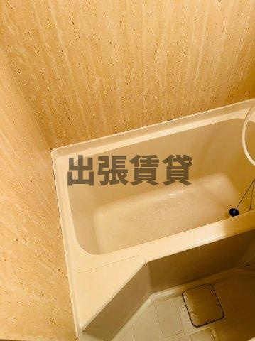 仲介手数料0円！！ラ・レジダンス・ド・シャトレーヌの浴室