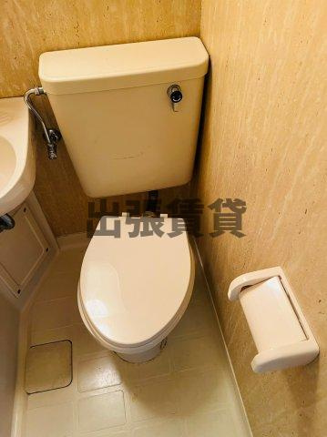 仲介手数料0円！！ラ・レジダンス・ド・シャトレーヌのトイレ