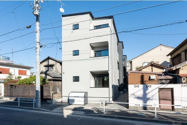 CRASTINE大杉(クラスティーネオオスギ)