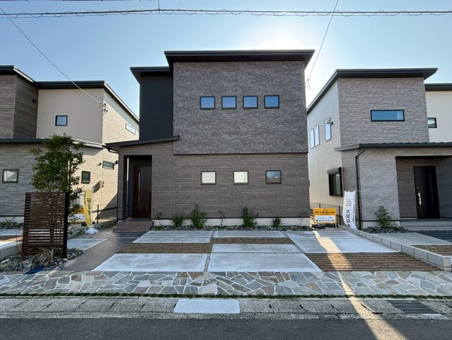 ピークス山の田中央