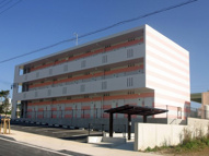 ルピナスの画像