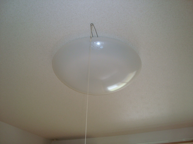 グレイスヴィラ花水木の設備|照明