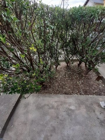 デパートメントアラキⅡの庭