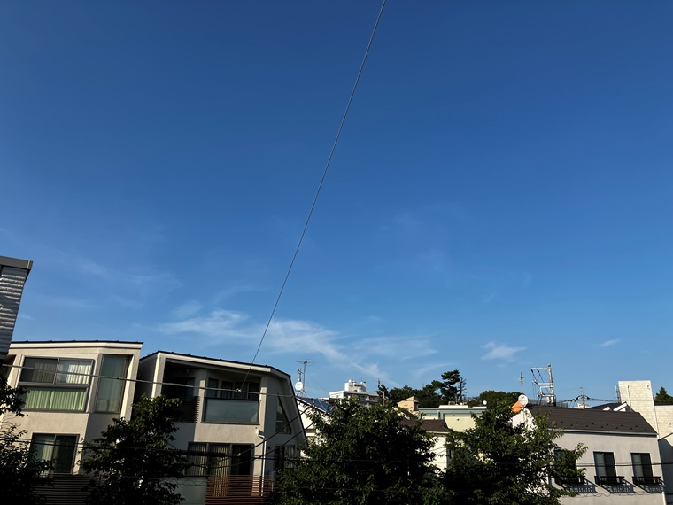 奥沢戸建の展望