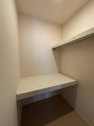 グラジオラスの収納