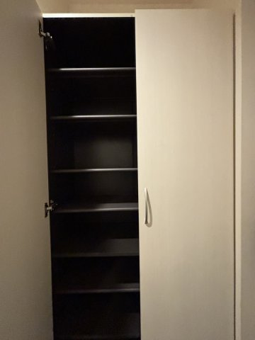 グラジオラスの収納