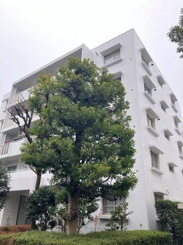 エステート上水本町６号棟の外観